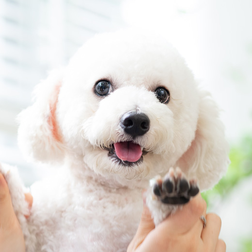 QQ的照片