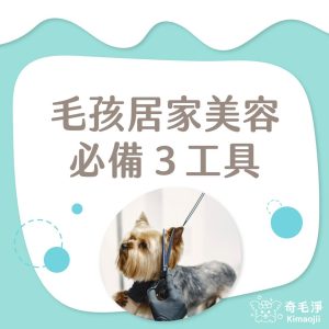 毛孩居家美容必備3項工具