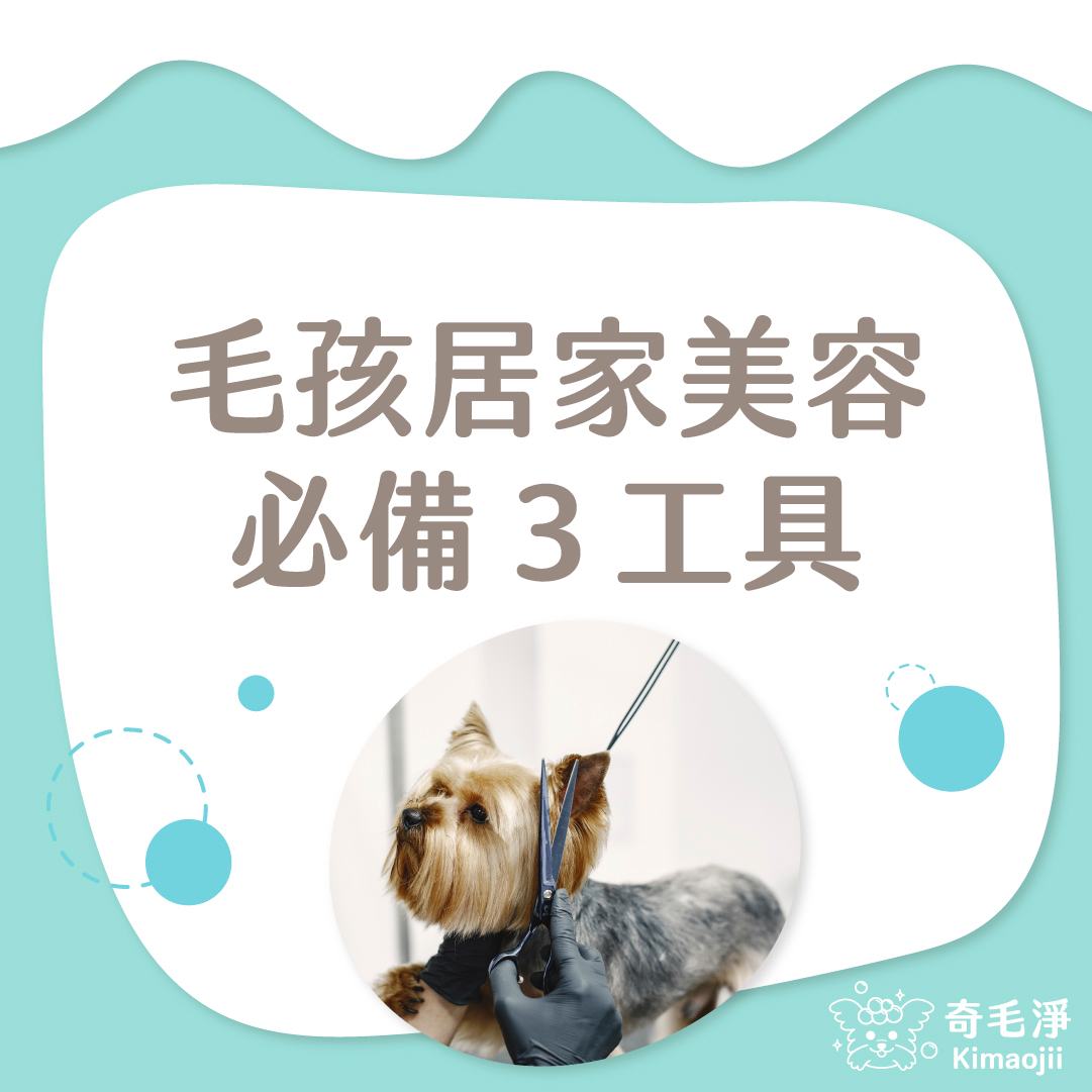 毛孩居家美容必備3項工具
