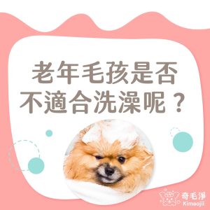 老年毛孩是否不適合洗澡呢?
